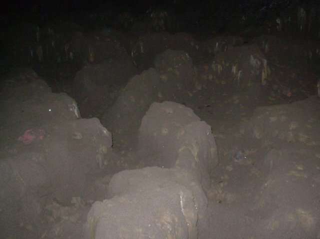 Summer '06 Sunriver 157 